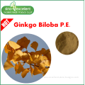 Natural Flavones 24% Ginkgo Biloba Leaf Extract